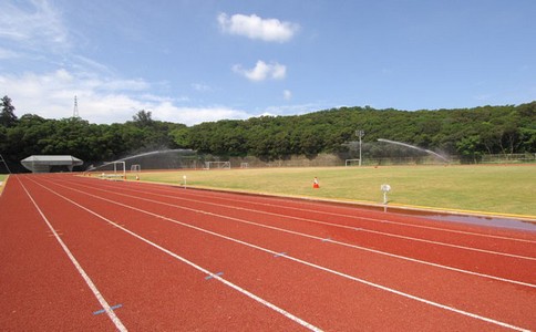 新國標(biāo)塑膠跑道的代表產(chǎn)品